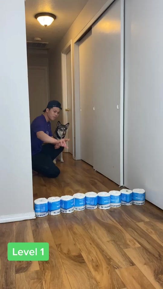 Post 10 by howlao on TikTok (video)