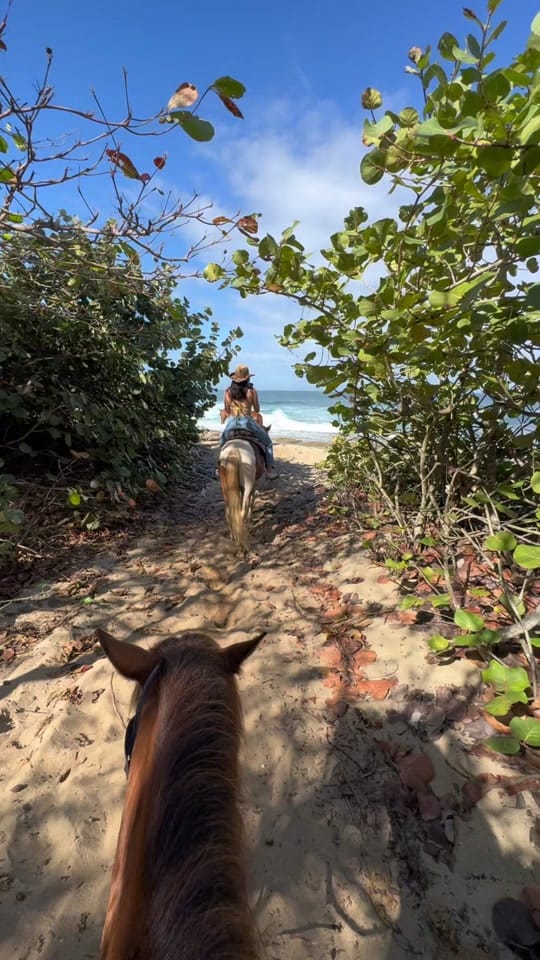 Post 4 by Kelly Vargas • Travel Creator on TikTok (video)