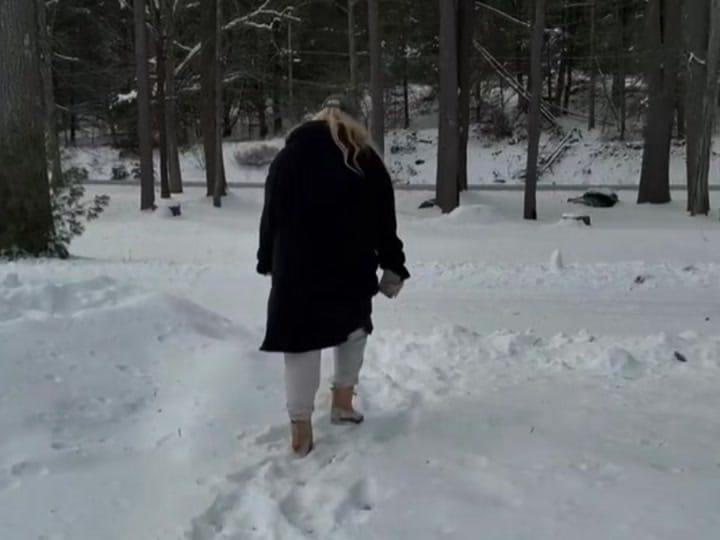 Post 3 by Palm Plated Content Studio on TikTok (video)