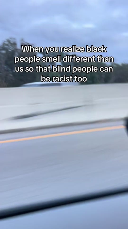 Post 3 by Phantom 👻 on TikTok (video)