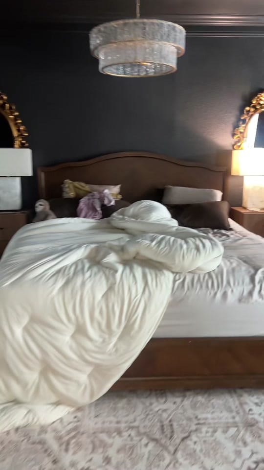 Post 3 by laceyshelbyofficial on TikTok (video)