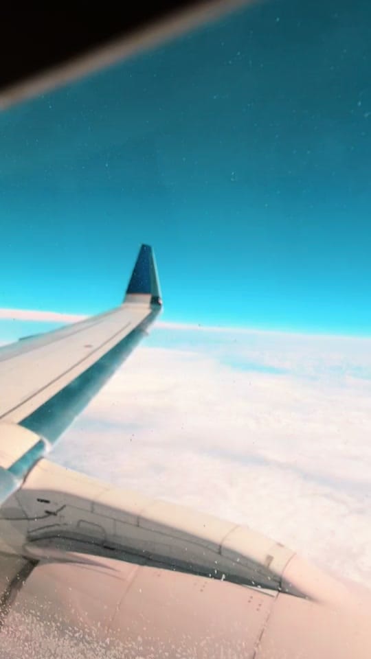 Post 3 by Lili Finch ♠️ on TikTok (video)