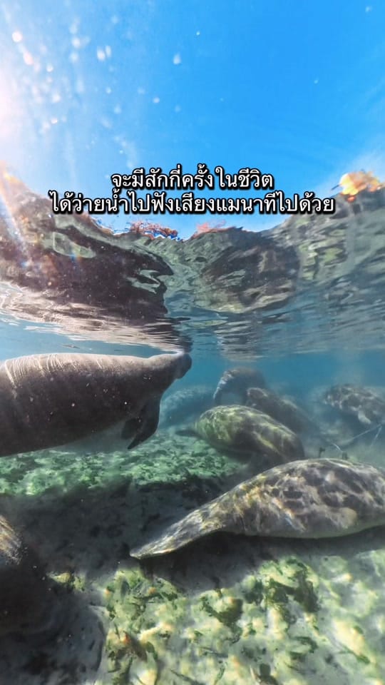 Post 6 by Tawyiiseatheworld on TikTok (video)