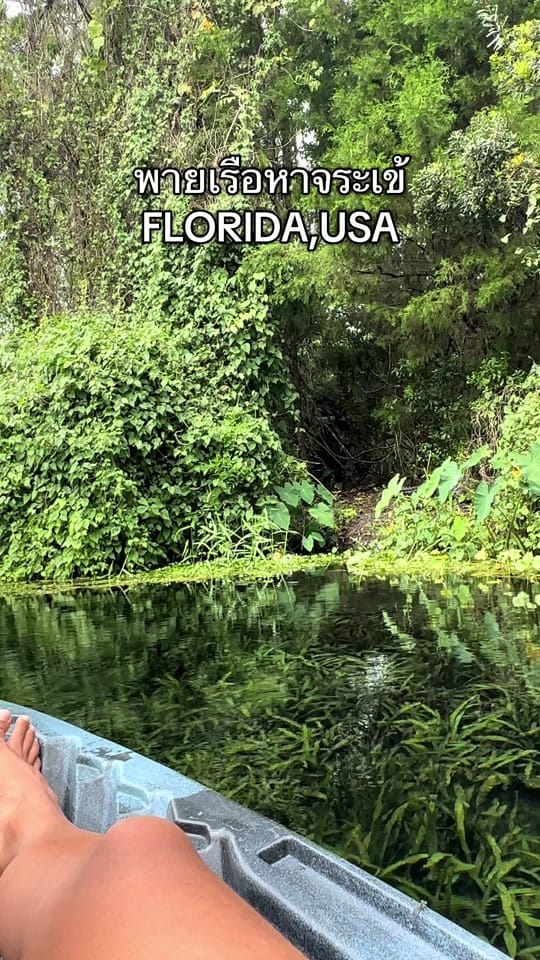 Post 8 by Tawyiiseatheworld on TikTok (video)