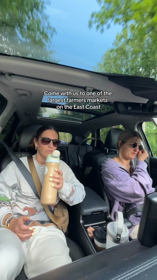 Post 10 by Nik on TikTok (video)