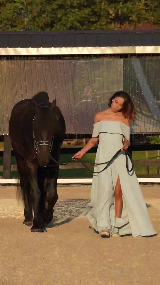 Post 3 by Kayla | Equine Photographer on TikTok (video)