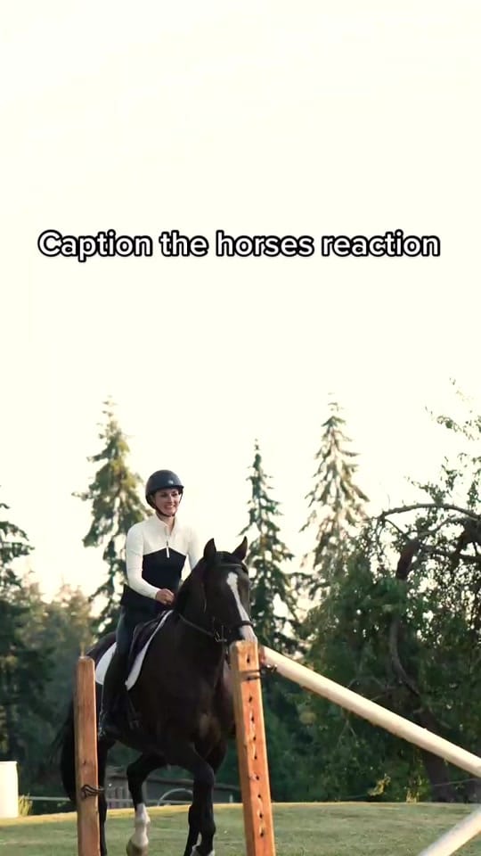 Post 5 by Kayla | Equine Photographer on TikTok (video)
