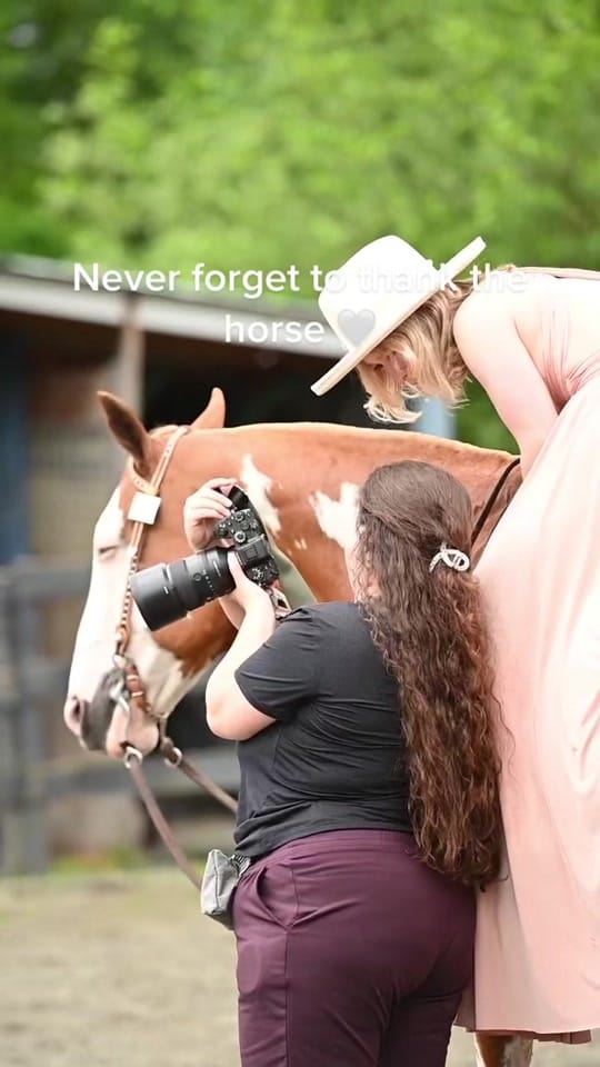 Post 10 by Kayla | Equine Photographer on TikTok (video)