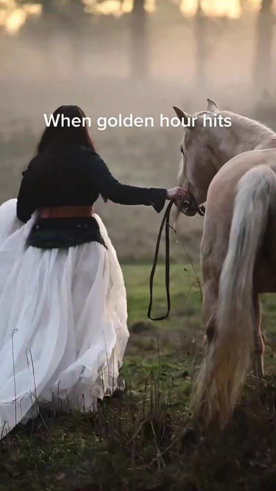 Post 9 by Kayla | Equine Photographer on TikTok (video)