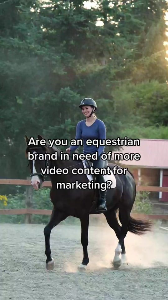 Post 6 by Kayla | Equine Photographer on TikTok (video)