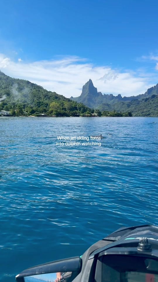 Post 3 by melody on TikTok (video)