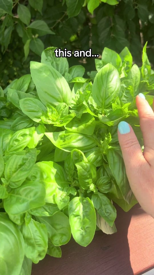 Post 3 by HappyKidsKitchen on TikTok (video)