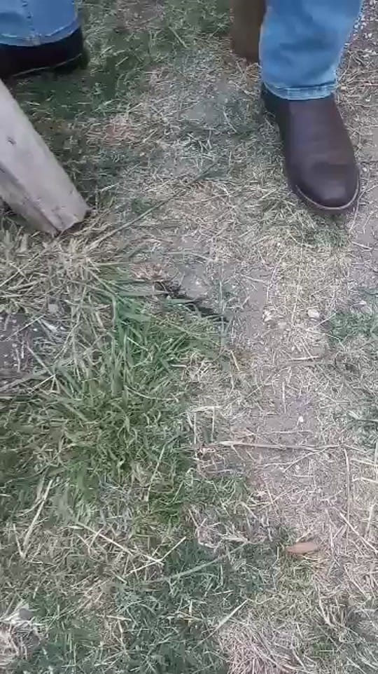 Post 6 by Catherine Gandara on TikTok (video)