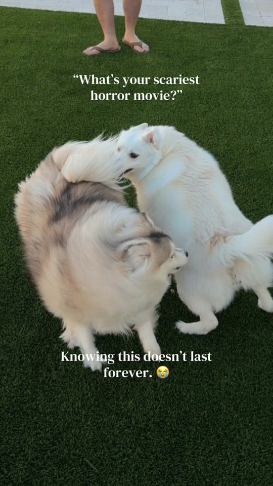 Post 4 by foodiehand on TikTok (video)