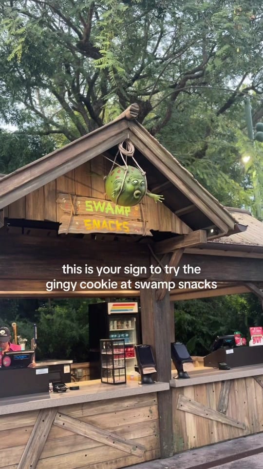 Post 8 by Ashley on TikTok (video)