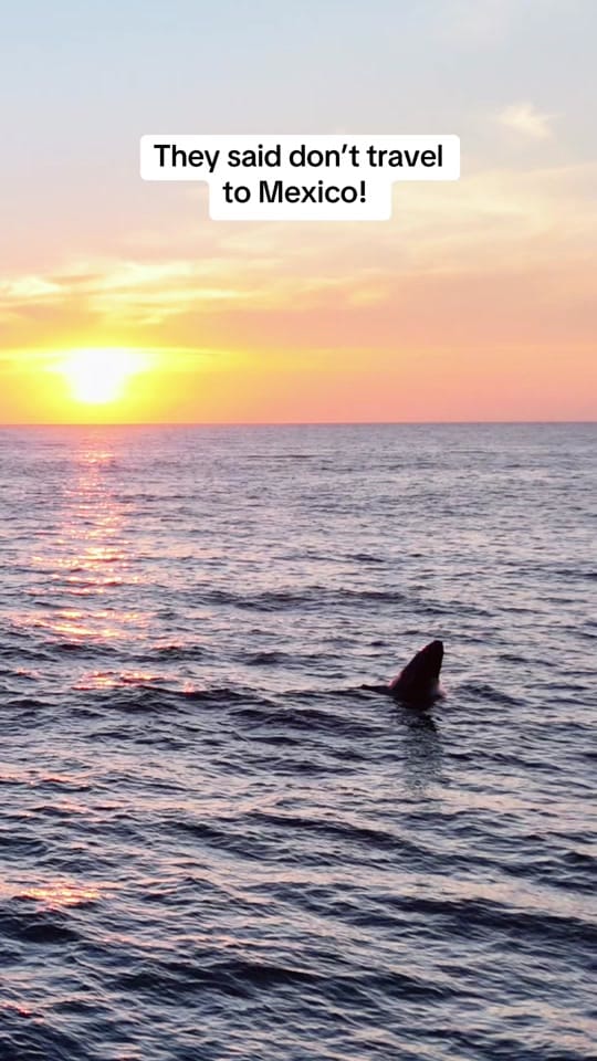 Post 5 by SoCal Travel Adventures on TikTok (video)
