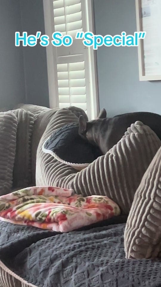 Post 1 by Patti Anne Photography on TikTok (video)