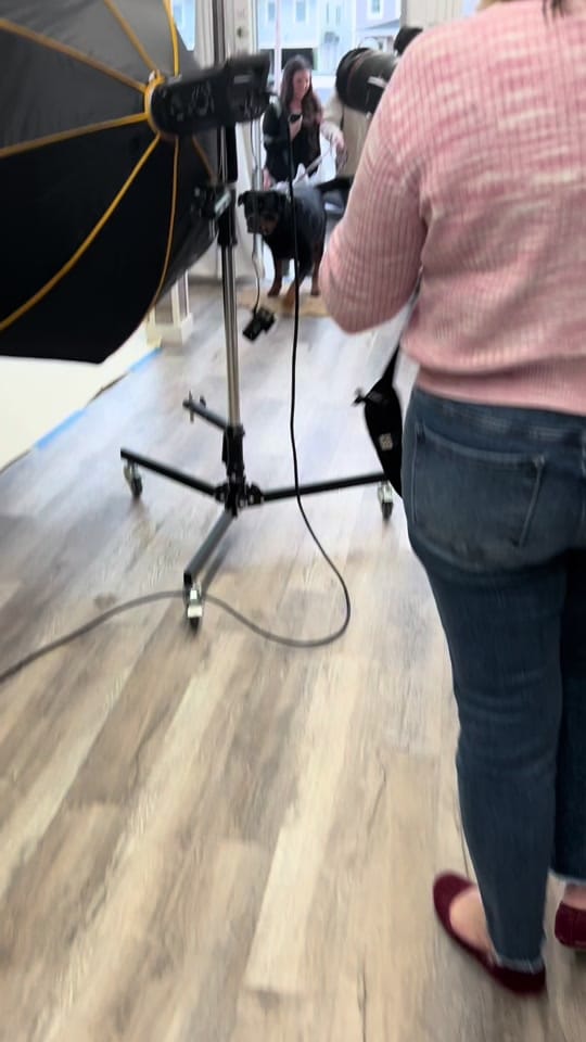 Post 9 by Patti Anne Photography on TikTok (video)