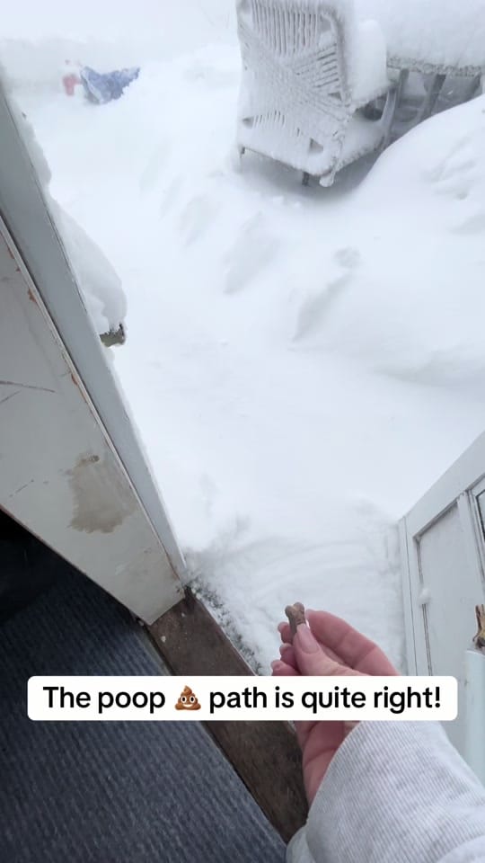 Post 4 by Patti Anne Photography on TikTok (video)