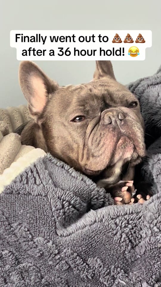 Post 3 by Patti Anne Photography on TikTok (video)