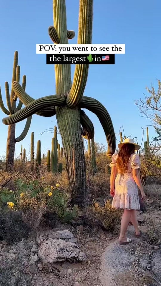 Post 5 by nickxjulie on TikTok (video)