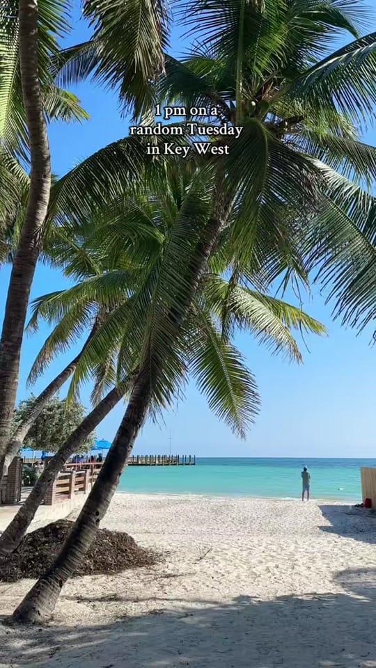 Post 7 by nickxjulie on TikTok (video)
