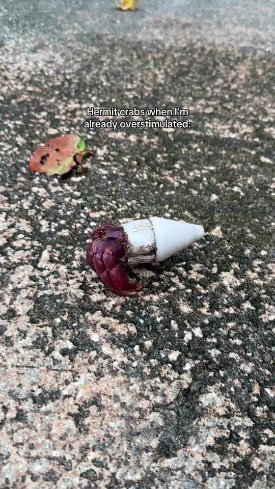 Post 6 by nickxjulie on TikTok (video)