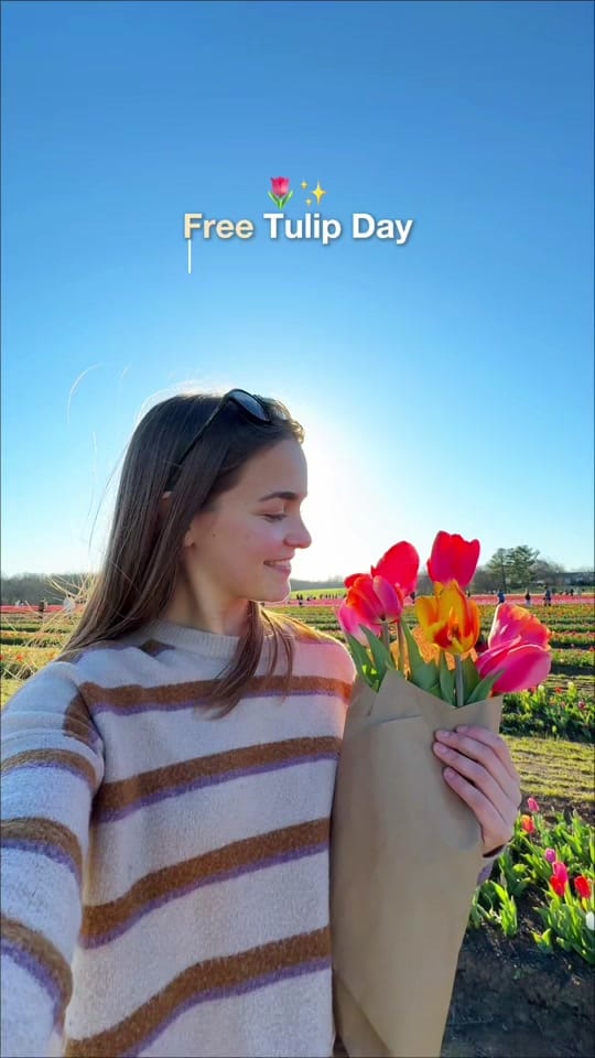 Post 3 by Sam | Your DC Bestie on TikTok (video)