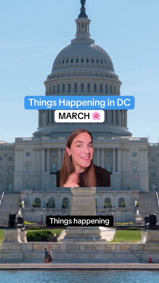 Post 2 by Sam | Your DC Bestie on TikTok (video)