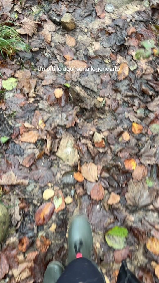Post 4 by paauulaa.sp on TikTok (video)