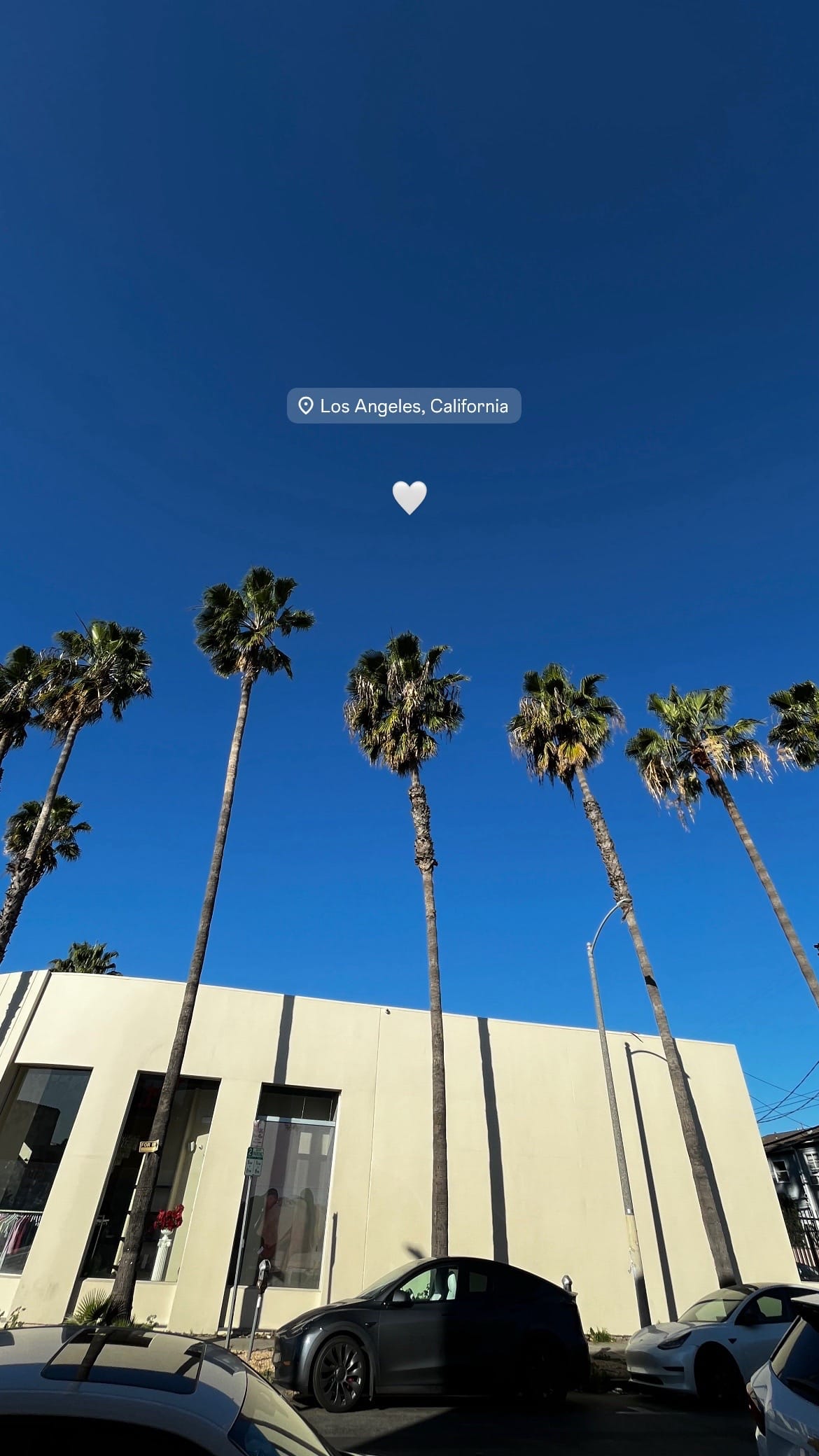 Post 8 by ✰ Michelle Evans ✰ on TikTok (video)
