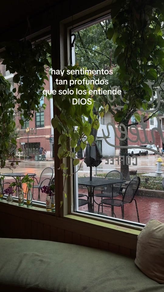 Post 10 by marlene gonzalez on TikTok (video)