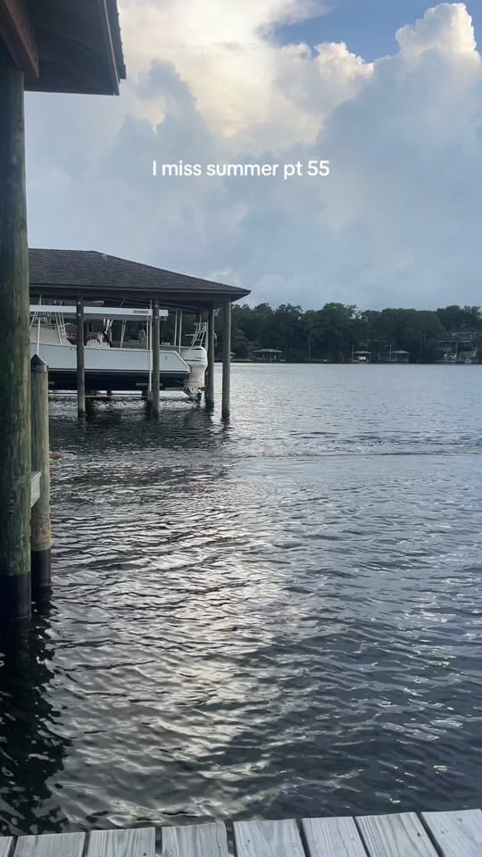 Post 8 by dev 😽 on TikTok (video)