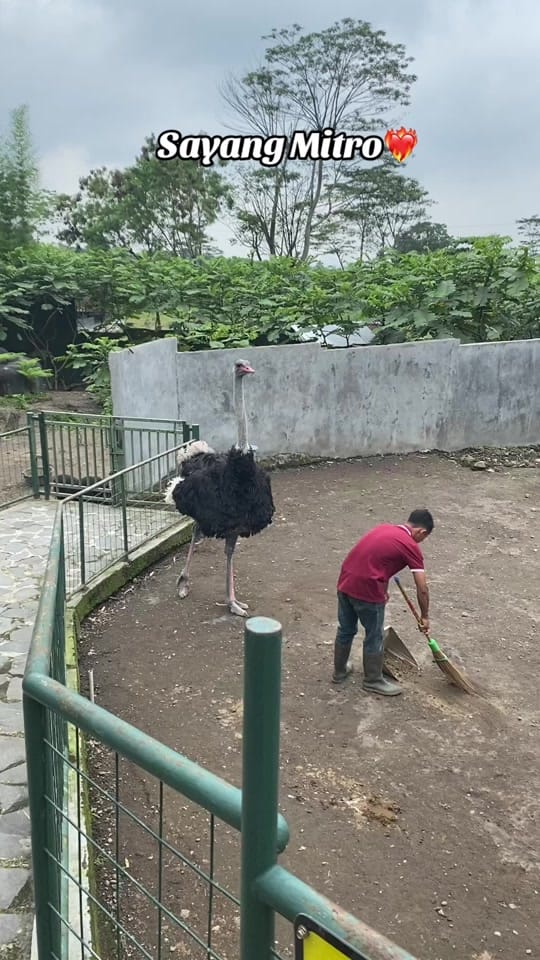 Post 9 by tourjekjogja on TikTok (video)