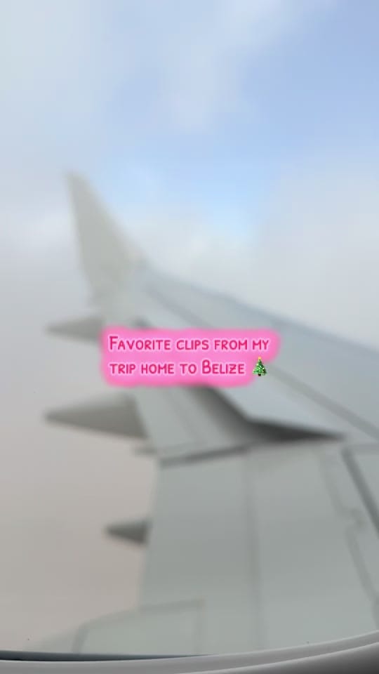 Post 8 by Grace Stoyshich on TikTok (video)