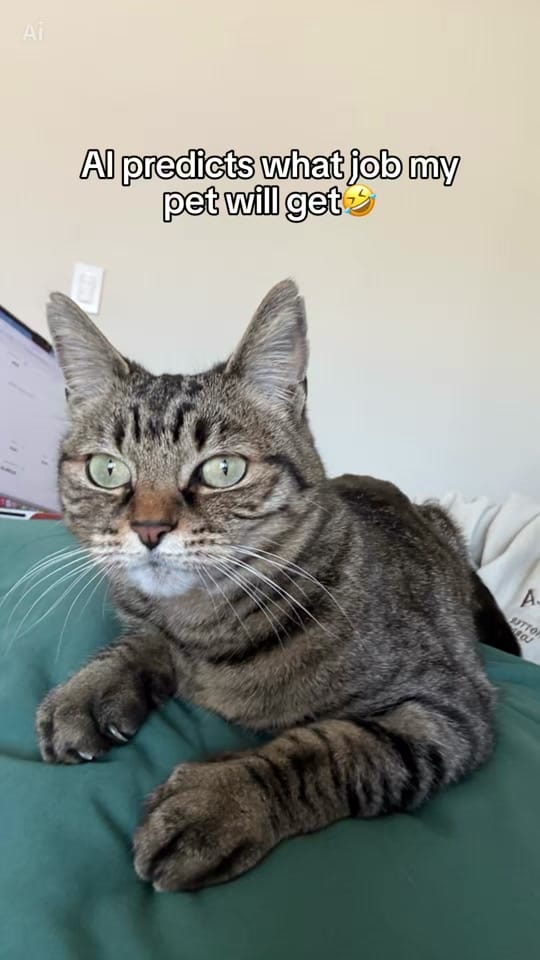 Post 4 by Béa on TikTok (video)