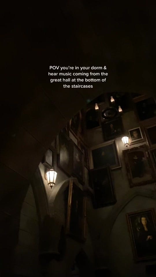 Post 9 by susi on TikTok (video)