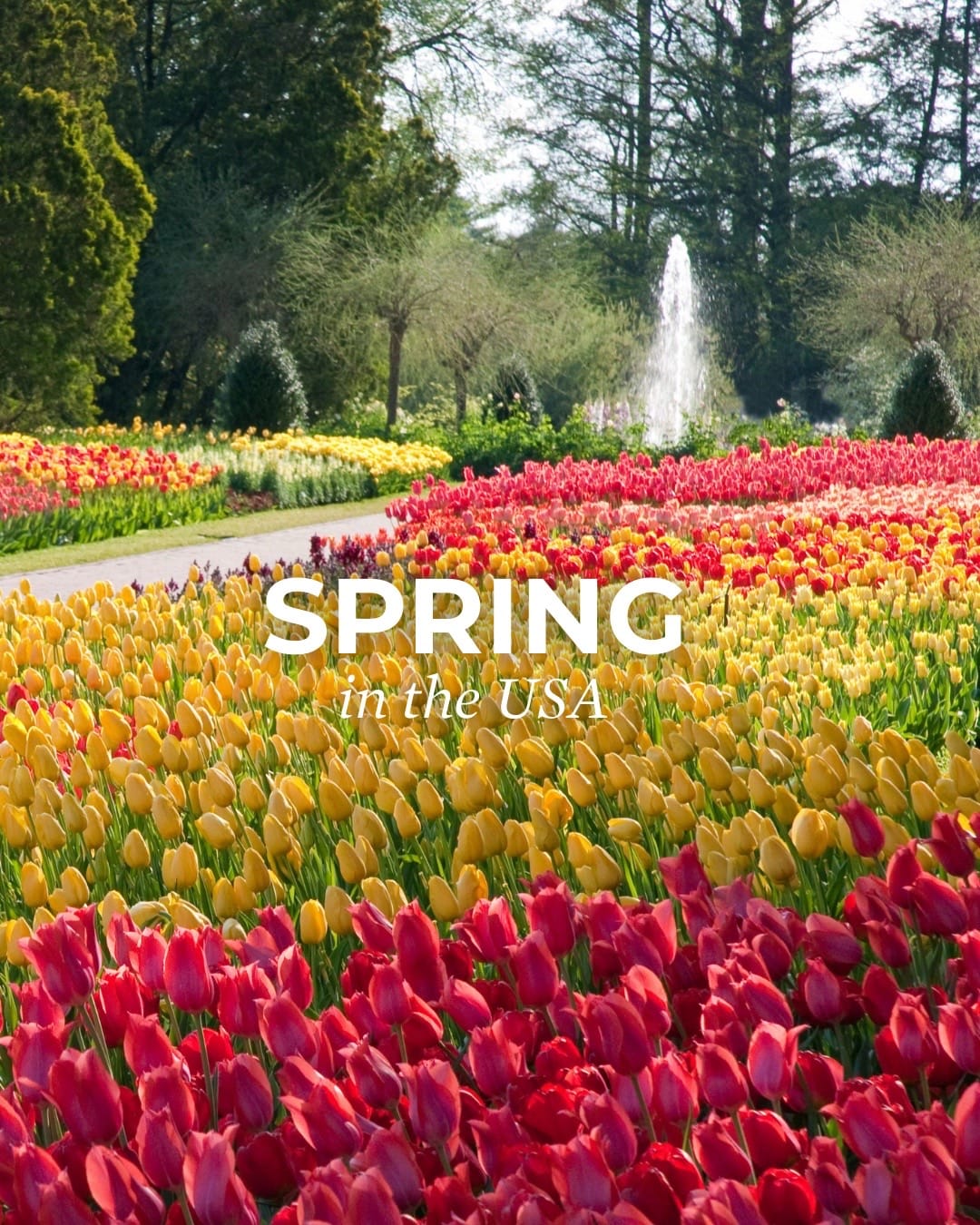 Post 2 by Visit the USA on TikTok (video)