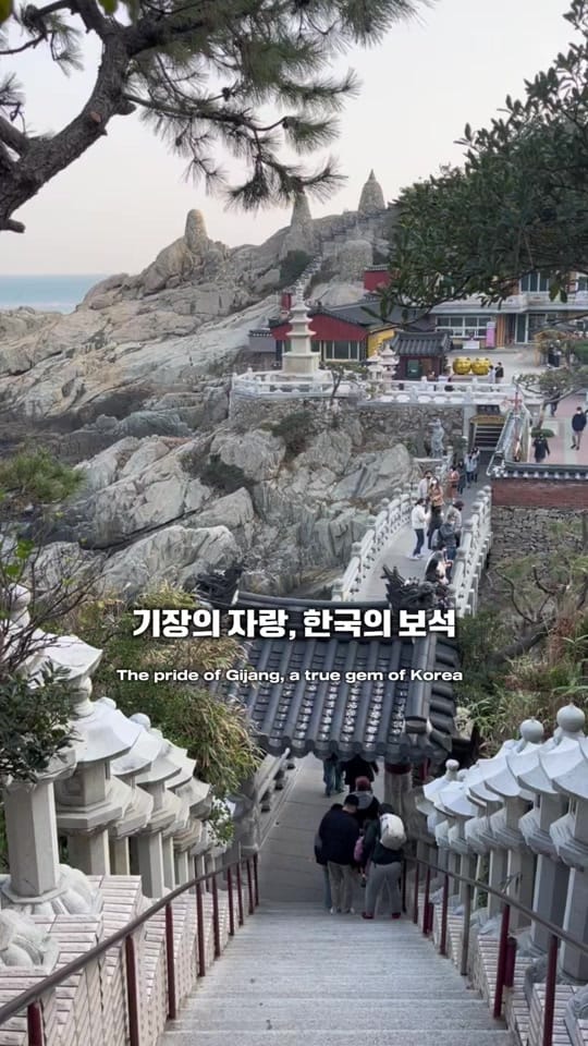 Post 4 by EKATERINA 🇰🇷 예나쌤 on TikTok (video)