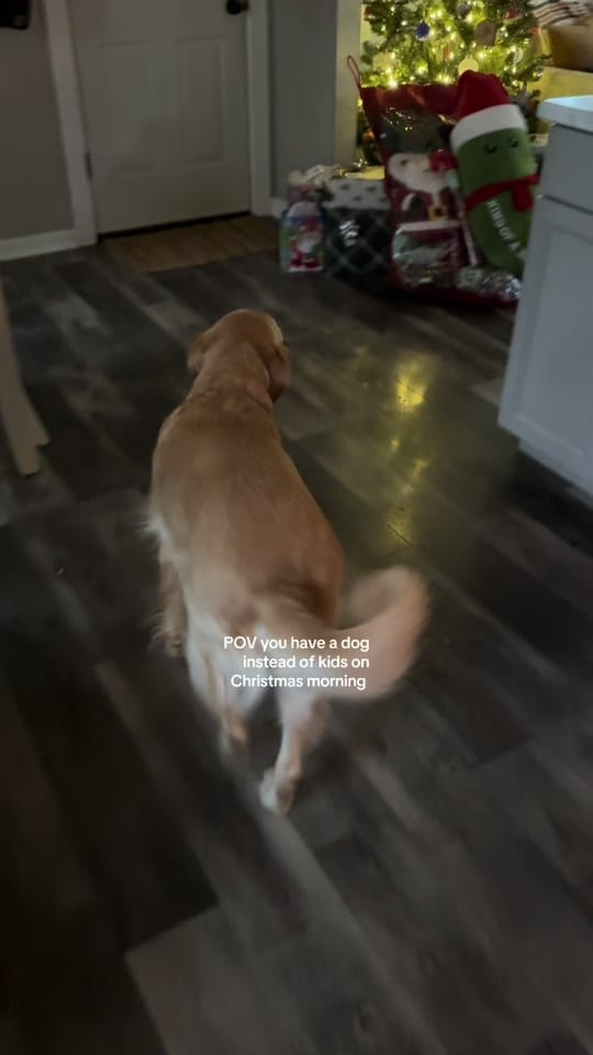 Post 10 by Madeline Ann on TikTok (video)