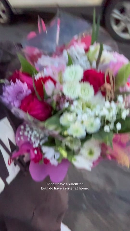 Post 5 by Salena Arkoub on TikTok (video)