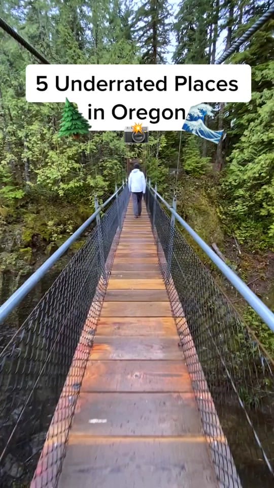 Post 10 by Michael Matti on TikTok (video)