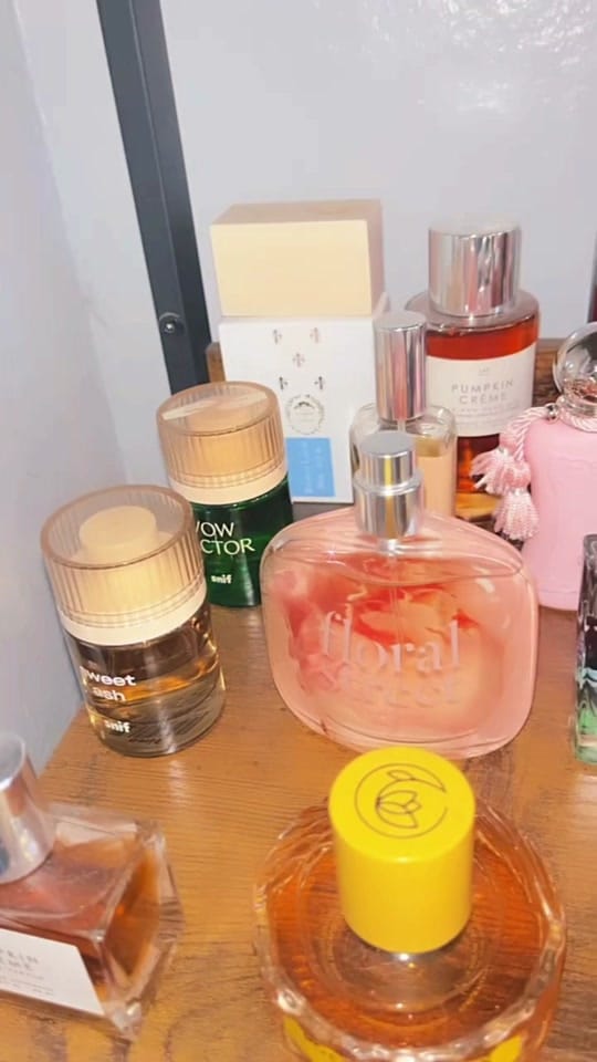 Post 8 by Indita Media on TikTok (video)