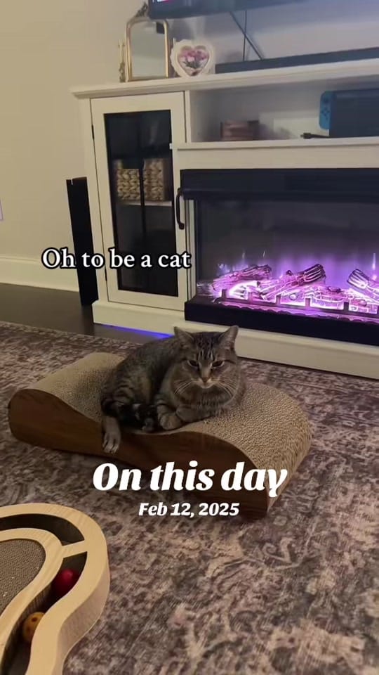 Post 7 by Emily Brooke | hair stylist! on TikTok (video)