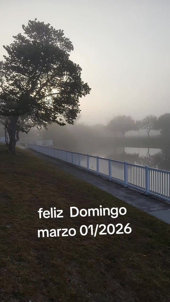 Post 8 by Ivelisse P. on TikTok (video)