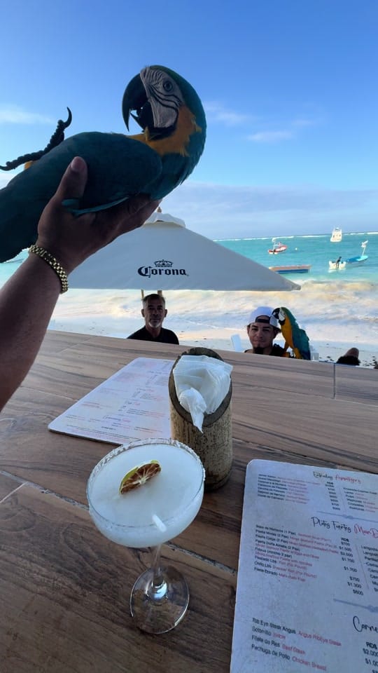 Post 8 by Kaay Jaay 😽 on TikTok (video)