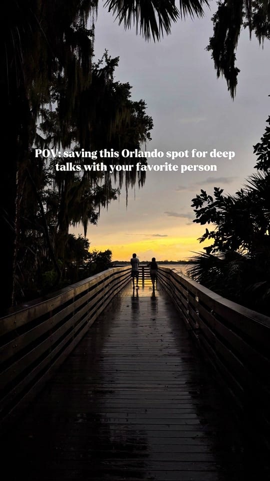 Post 5 by Daily in Florida on TikTok (video)