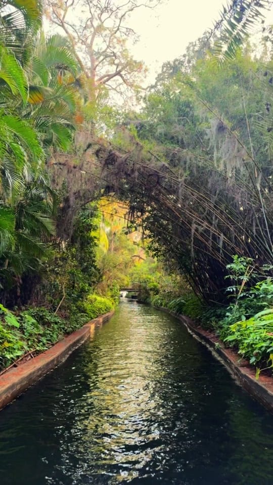 Post 10 by Daily in Florida on TikTok (video)