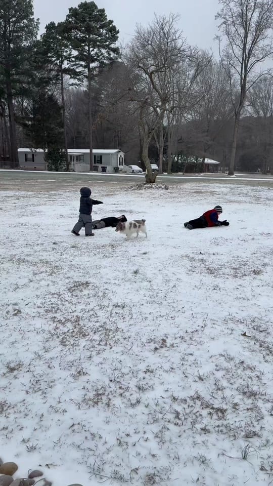 Post 7 by Nonna on TikTok (video)