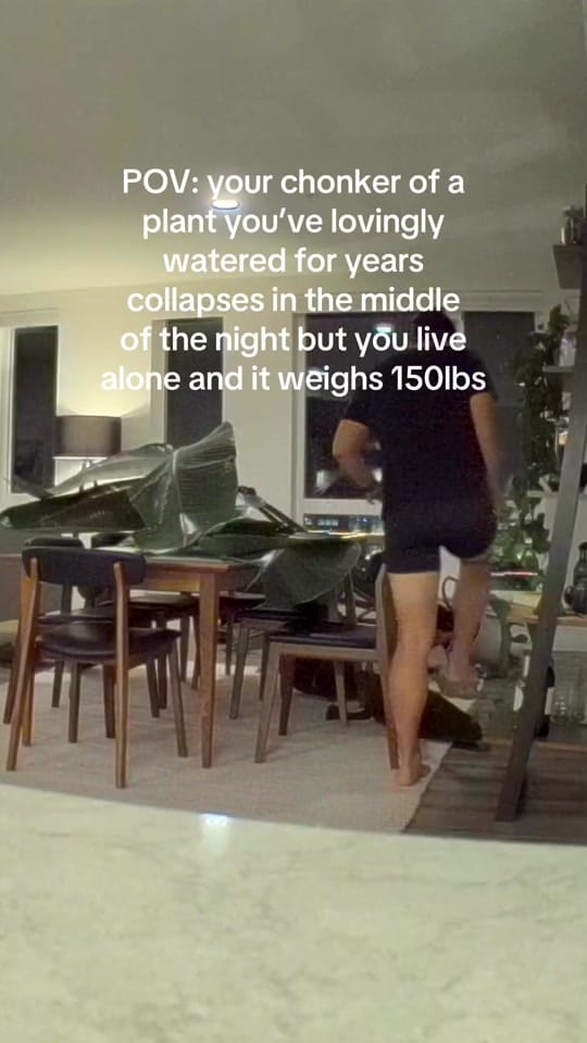 Post 3 by Ryan French on TikTok (video)